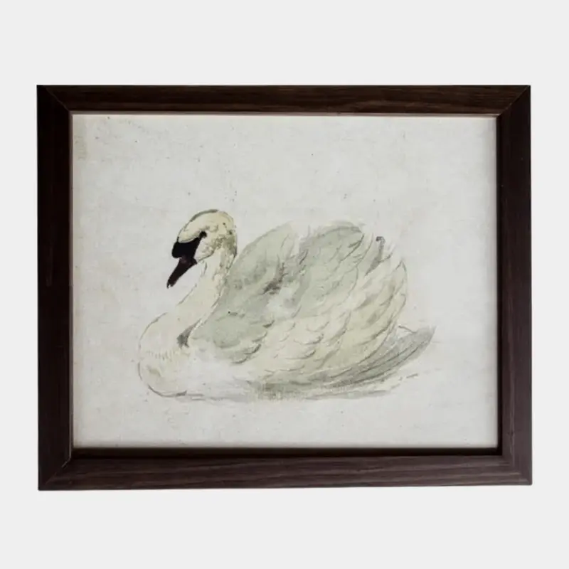 Vintage Framed Art Print: White Swan Illustration 1